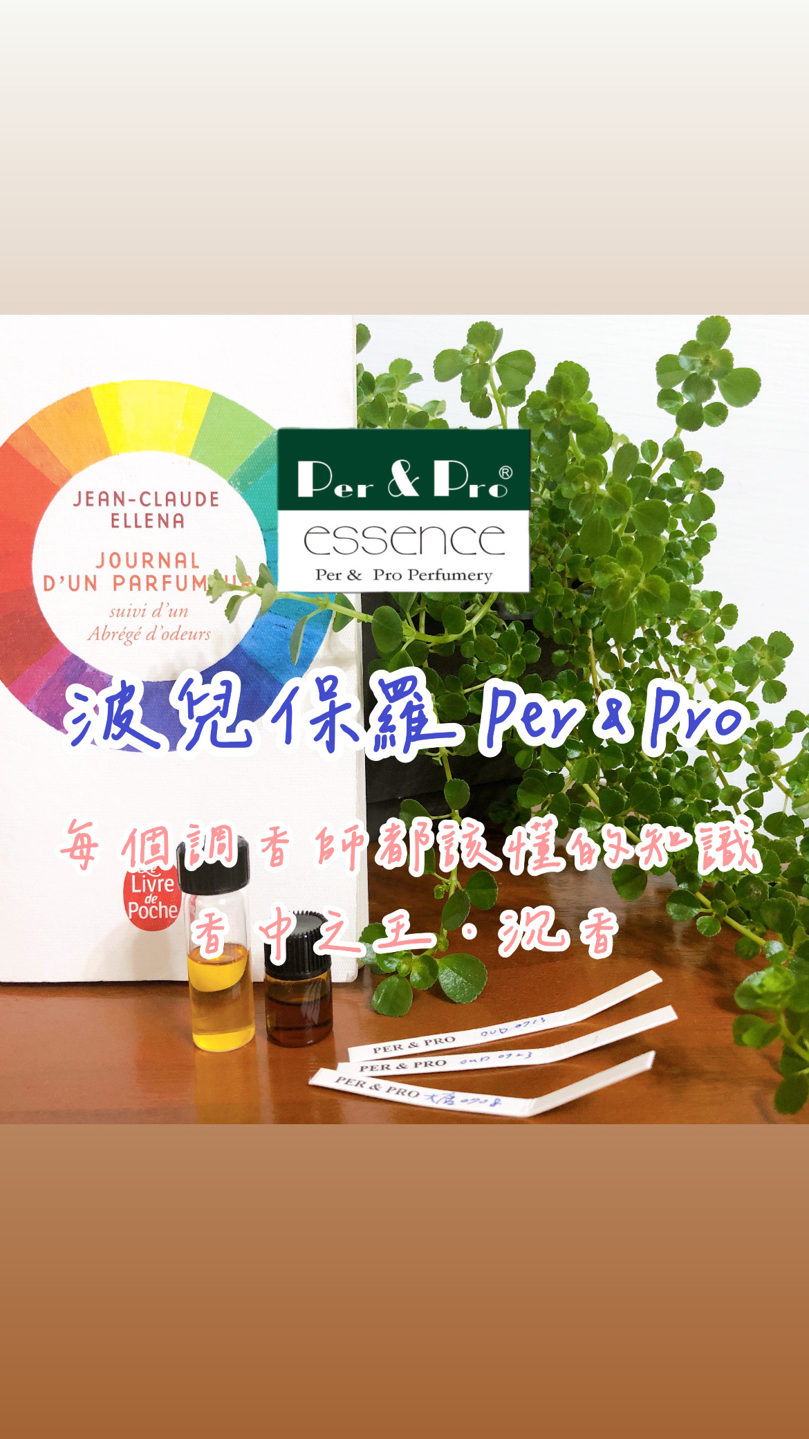 沉香知識影片