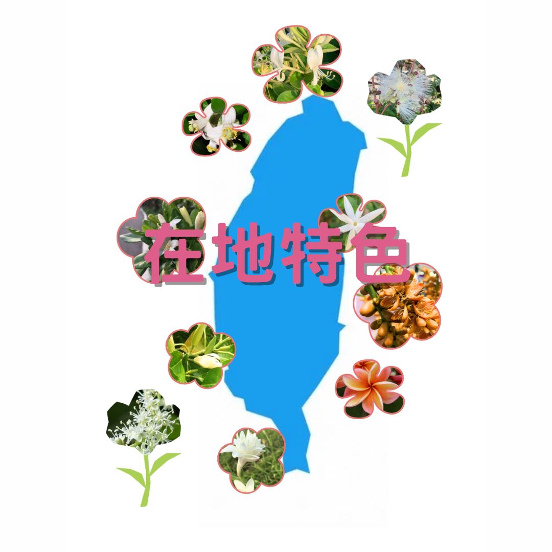 師法自然
