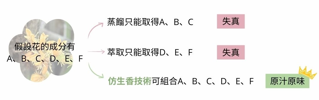 還原植物香氣圖表