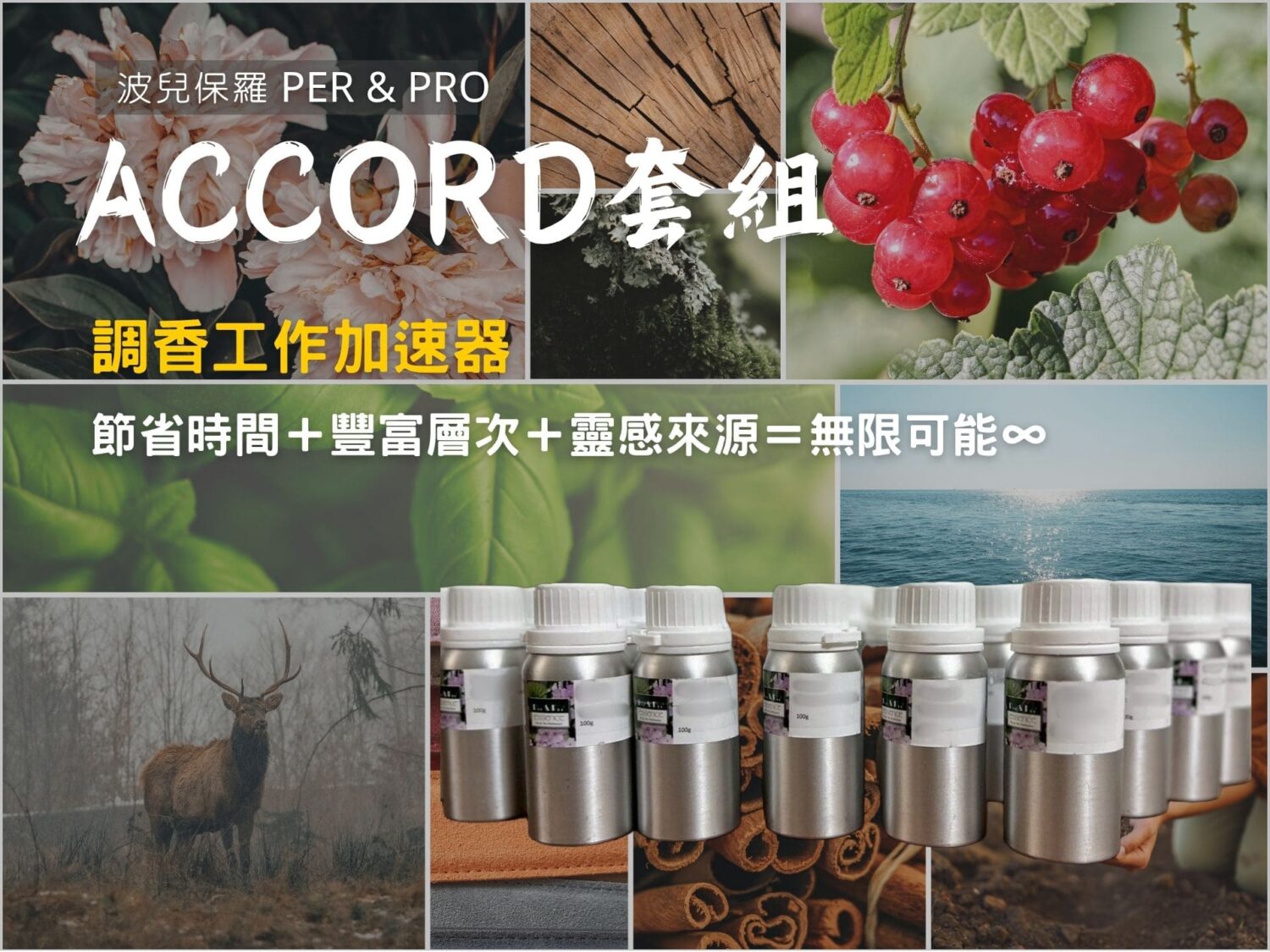波兒保羅獨家 Accord 調香基劑產品