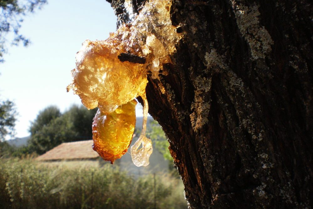 100%成功率香水DIY套組 10